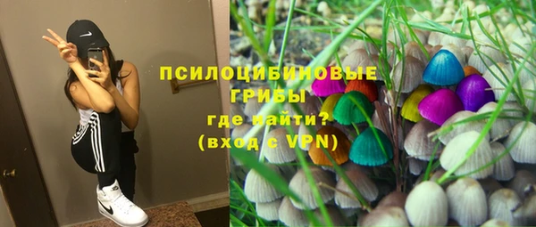 тгк Балахна